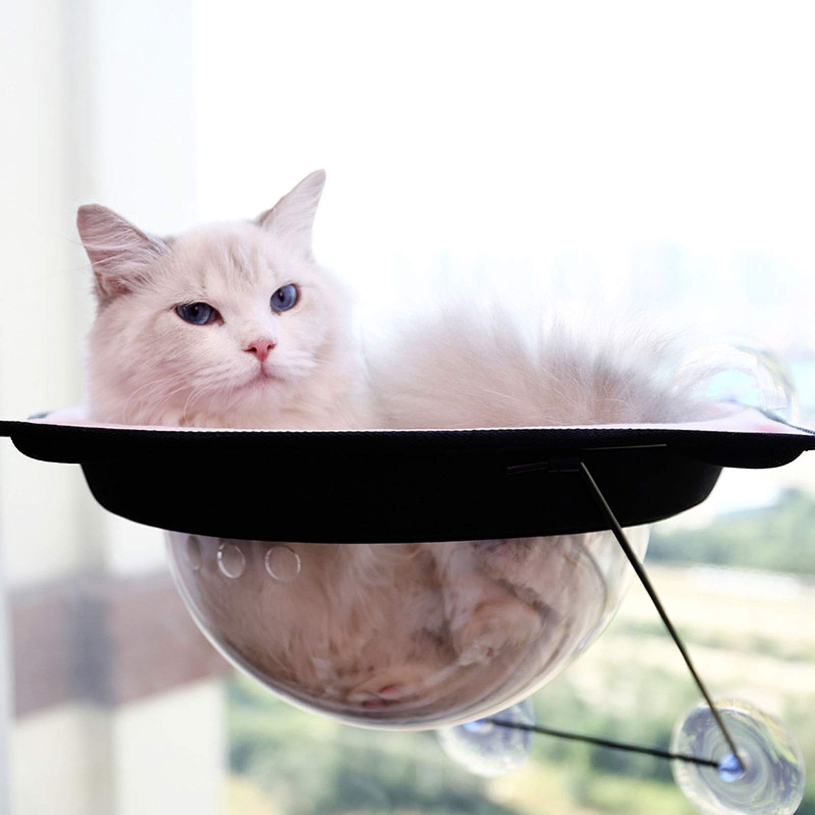 Cama para Mascotas Perca de la Ventana del Gato, Hamaca de la Ventana del Gato, Kitties Cama soleada para Arriba, Marco de Metal Estable Cara de Gato Hamaca Cama Mascota Waterloo