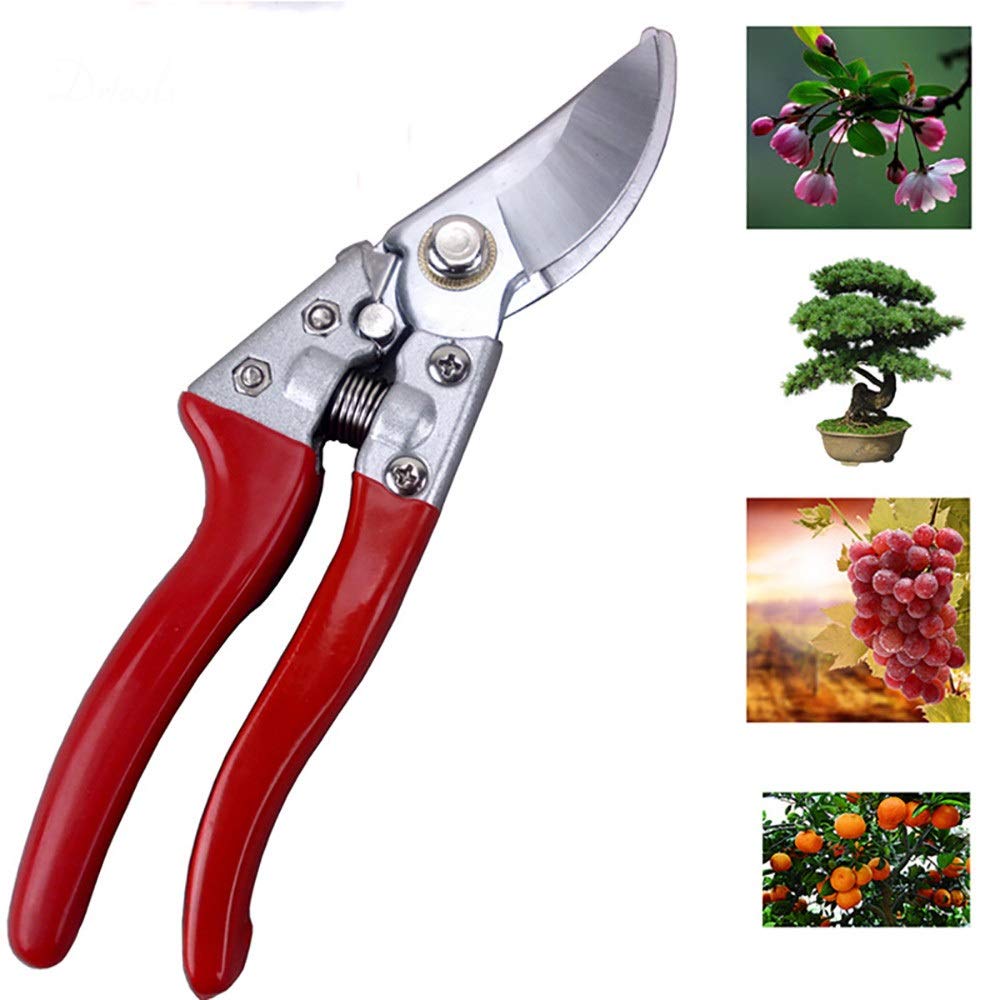 Ciseaux de Jardinage, greffage, cisaille à Main en Acier Inoxydable, Outils de Coupe d'arbres fruitiers, sécateurs de bonsaï