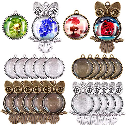 Swpeet 48Pcs 2 Shapes Pendant Trays Kit, 12Pcs Owl Pendant Trays and 12Pcs Round Tree Bezel Pendant Trays with 24Pcs Glass Cabochon Clear Dome for Photo Pendant Craft Jewelry Making
