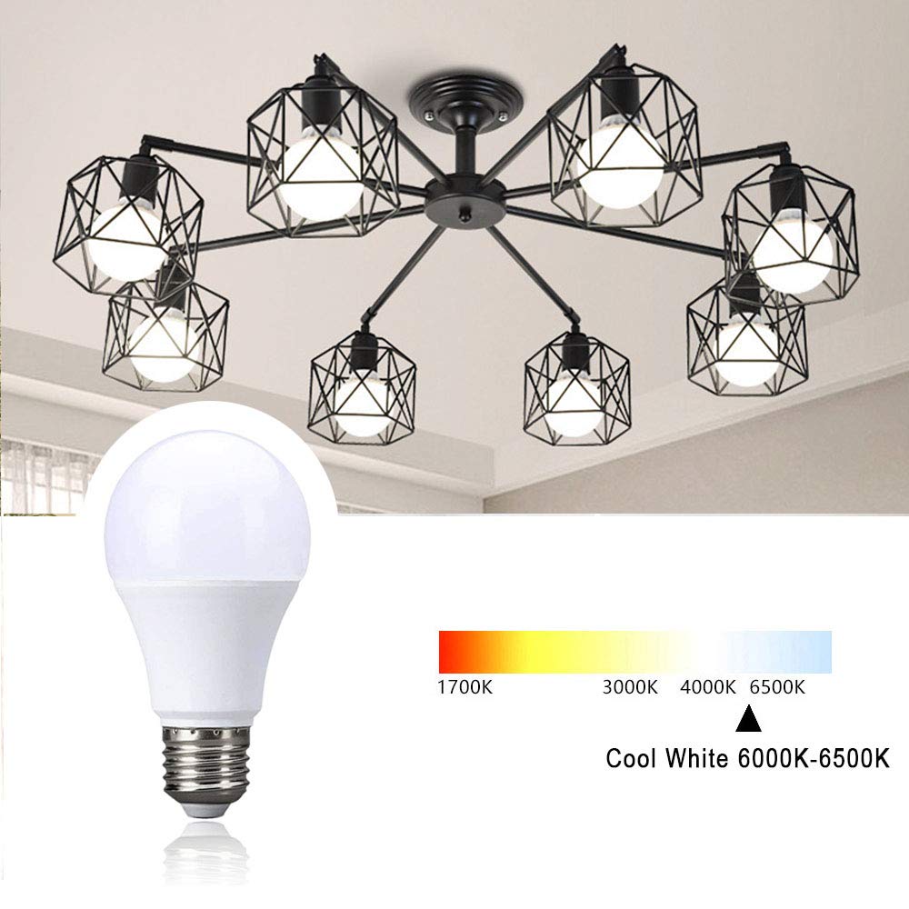 Genérico Bombilla LED de Rosca E27 de 12 W, luz Blanca fría (6000-6500 K), Equivalente a una Bombilla incandescente de 95 W, 1050 LM, Ahorro de energía (Paquete de 10)