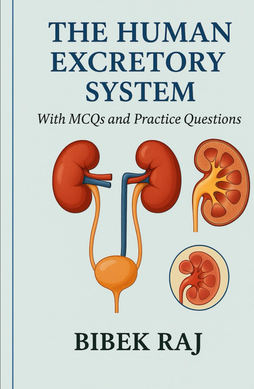 The Human Excretory System: It's structure and function (The Amazing Human Body)