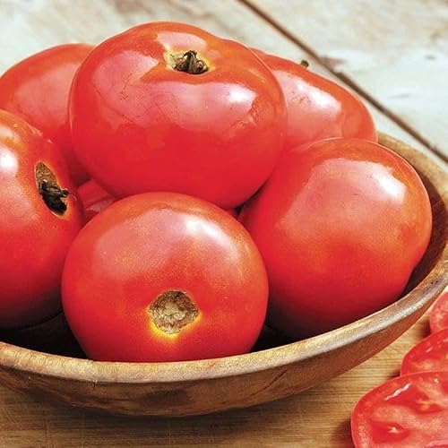 Iron Lady F1 Hybrid Tomato Seeds (95 Seeds) Seeds for Planting, Farm, Growing in Garden, Greenhouse, Vegetable, Fruit