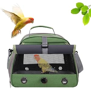 Bird Travel Carrier, Portable Small Bird Parrot Parakeet Carrier with Standing Perch and Tray, Side Access Window Collapsible Bird Carry Transport Bag for Vet Visit(Green)