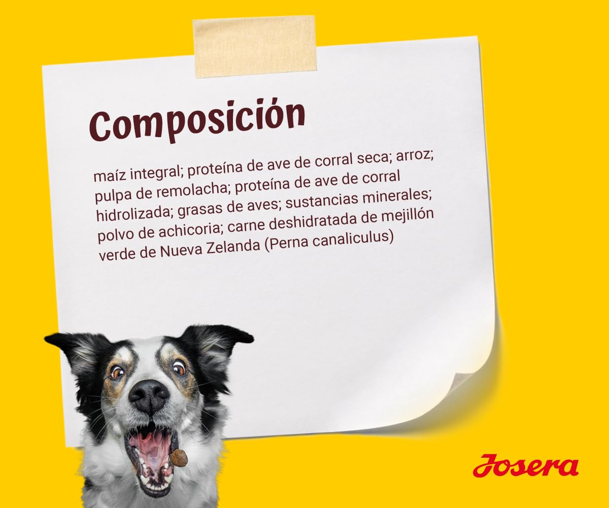 JOSERA Balance (1 x 12,5 kg) | Senior | Premium Trockenfutter für ausgewachsene ältere Hunde | Geflügel & Reis | Fett- und eiweißreduziert speziell für Senioren | weizenfrei | Hundefutter | 1er Pack