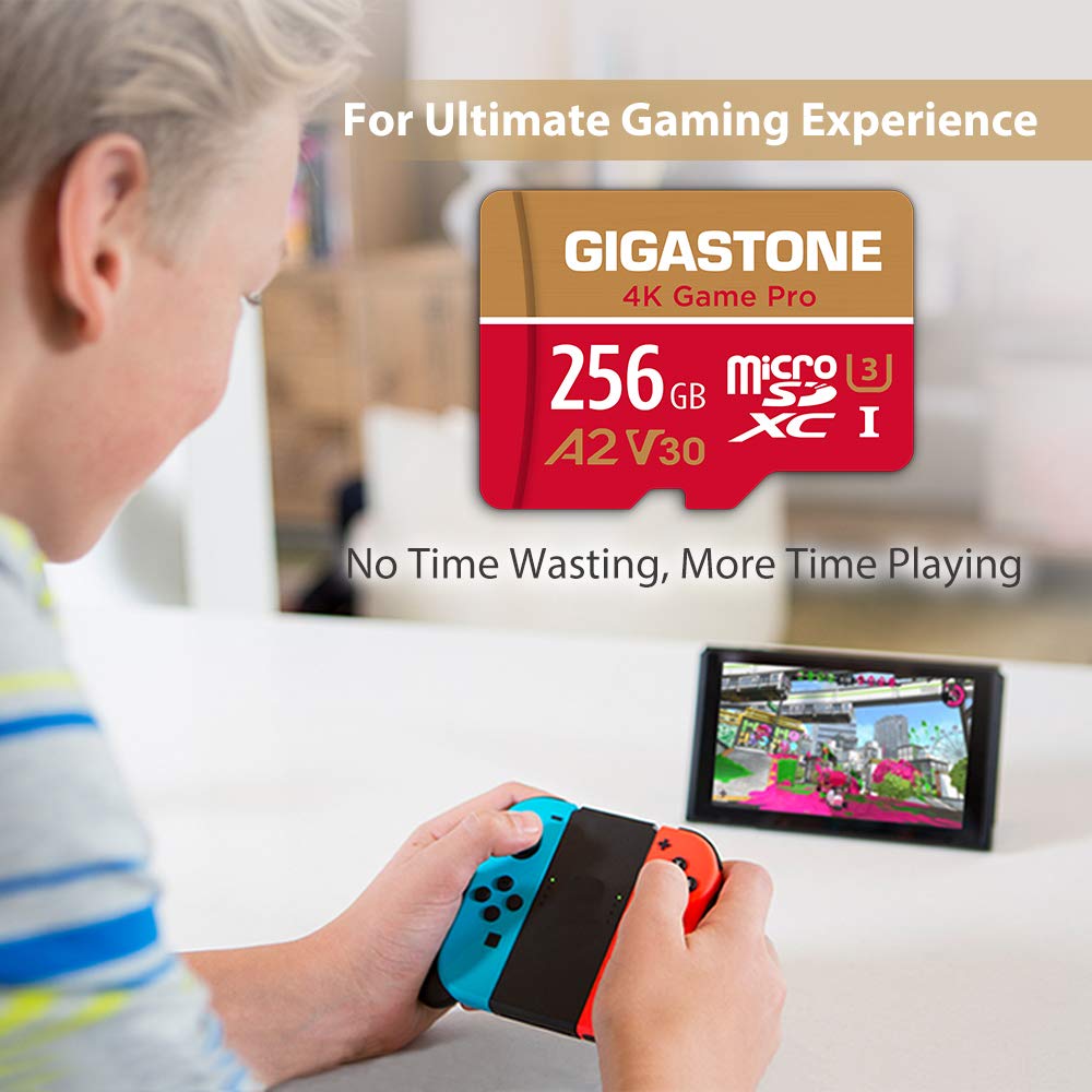 5 Ans Récupération De Données Gratuite] Carte Mémoire 256 Go, Game Pro