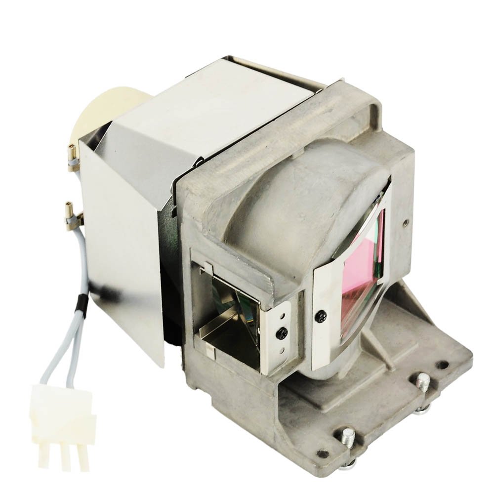 Molgoc BL-FU190C Projector Replacement Lamp Bulb with Housing for OPTOMA DX330 H100 S303 W303 X2010 BR320 BR325 DS328 DS330 DX328 S2010 S2015 S302 W2015 X2015 X302 X303