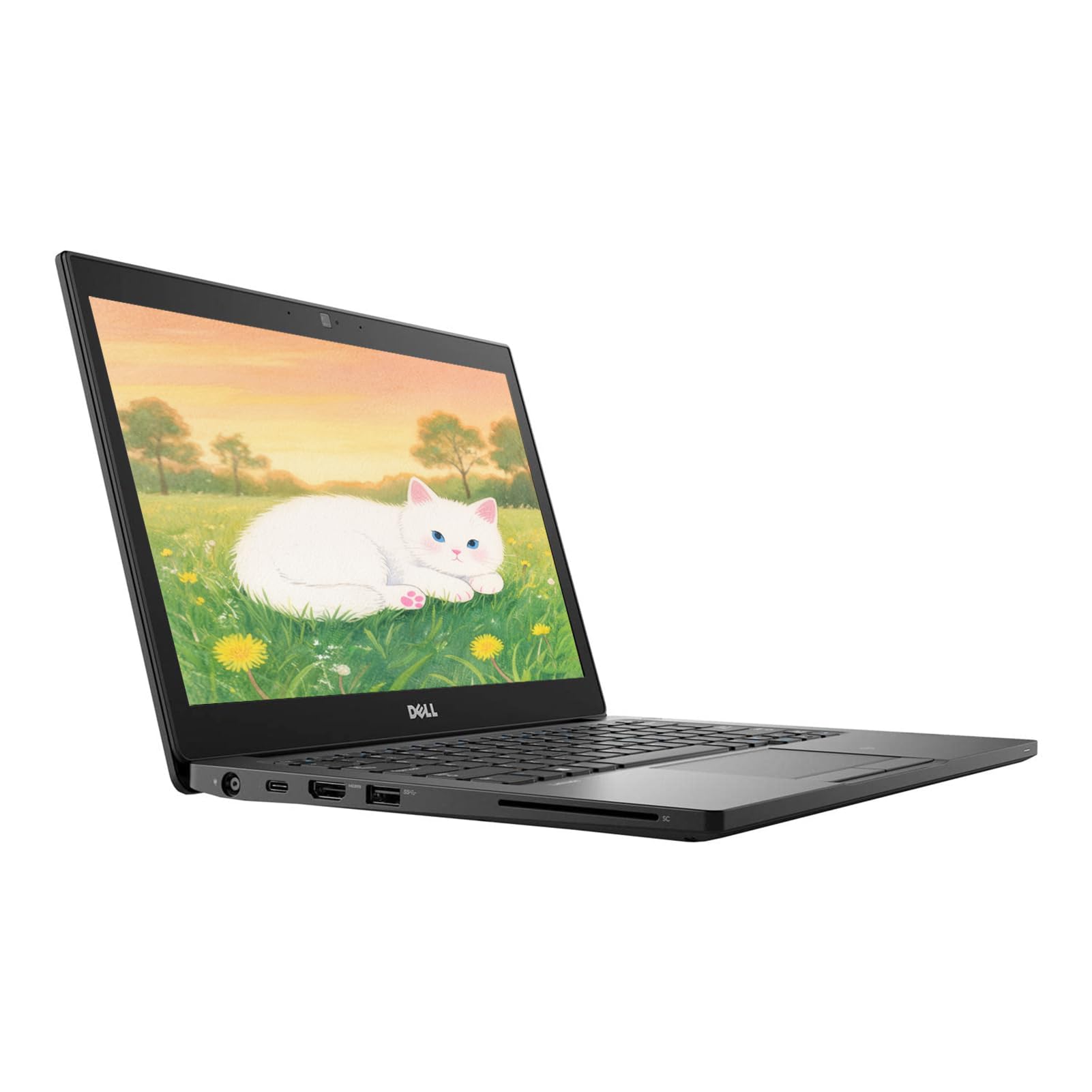 Amazon.com: Dell Latitude 7280 Business Laptop, 12.5