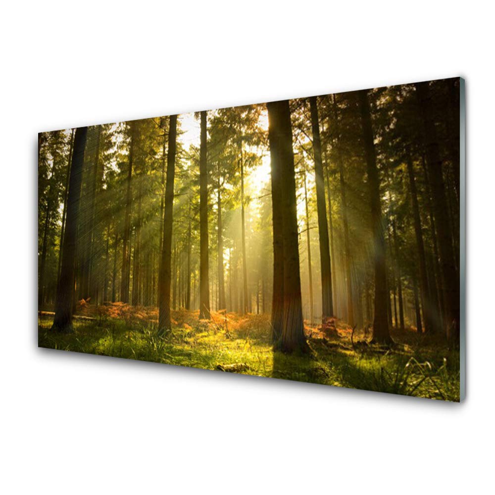 Impression sur Verre Acrylique 100x50cm - Tableau Mural Nature Forêt déco salon