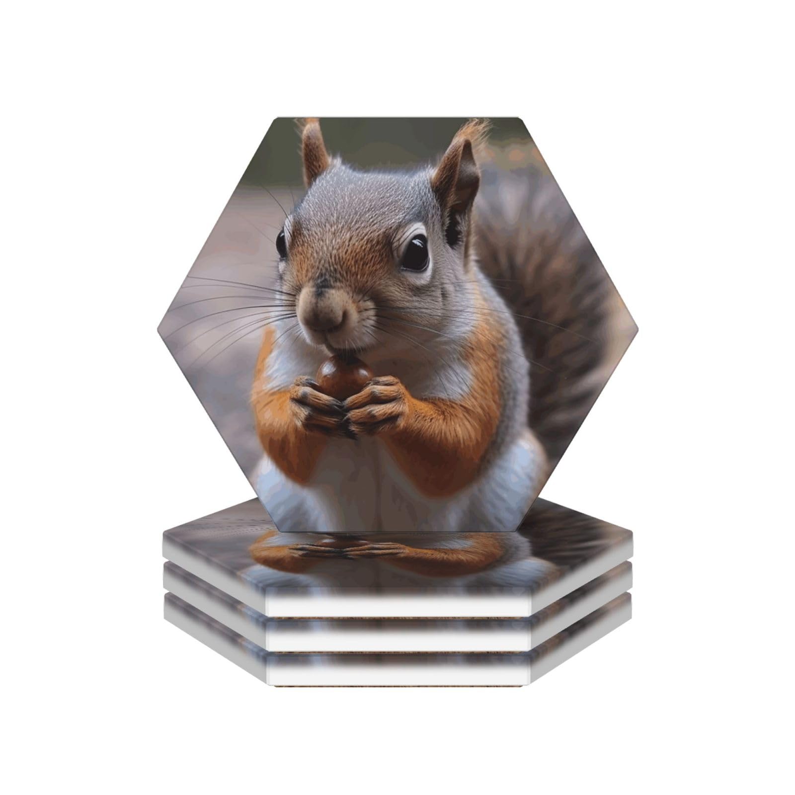 Drink Coasters Set of 4 Coffee Ceramic Coaster Cute Squirrel Coasters for Drinks Coffee Cup Mat Heat Resistant Tabletop Protection Coaster Desk Accessorie Home Decorative