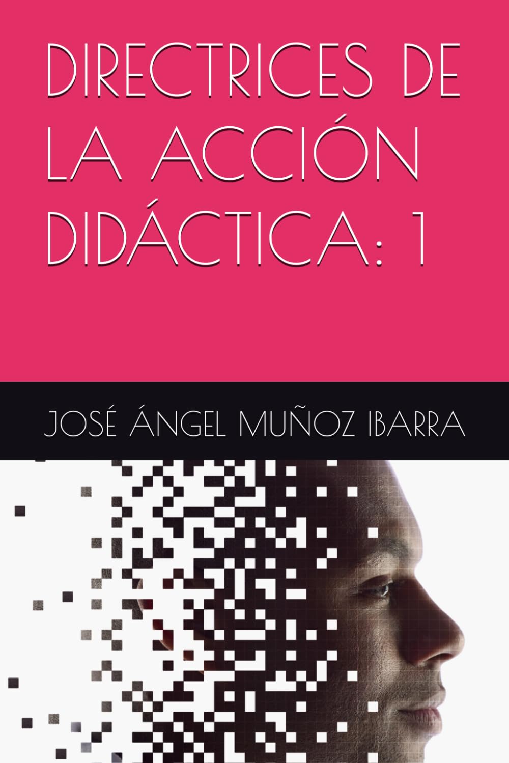 DIRECTRICES DE LA ACCIÓN DIDÁCTICA: 1