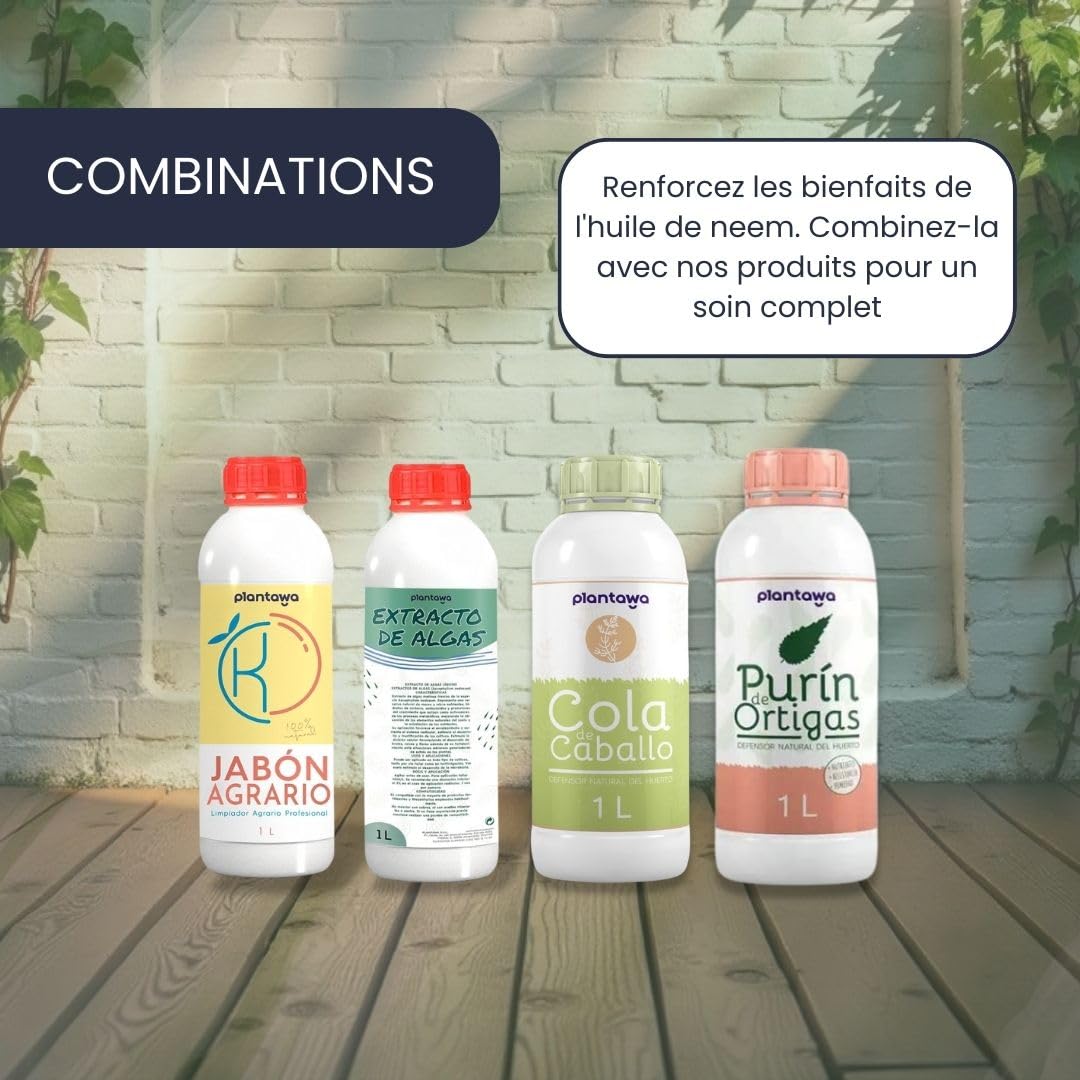 PLANTAWA Huile de Neem 500ml | Ingrédient Naturel à Diluer | Pressée à Froid | Usage Polyvalent | Sans Additifs ni Parfum | Pour Formulations Domestiques Personnalisées