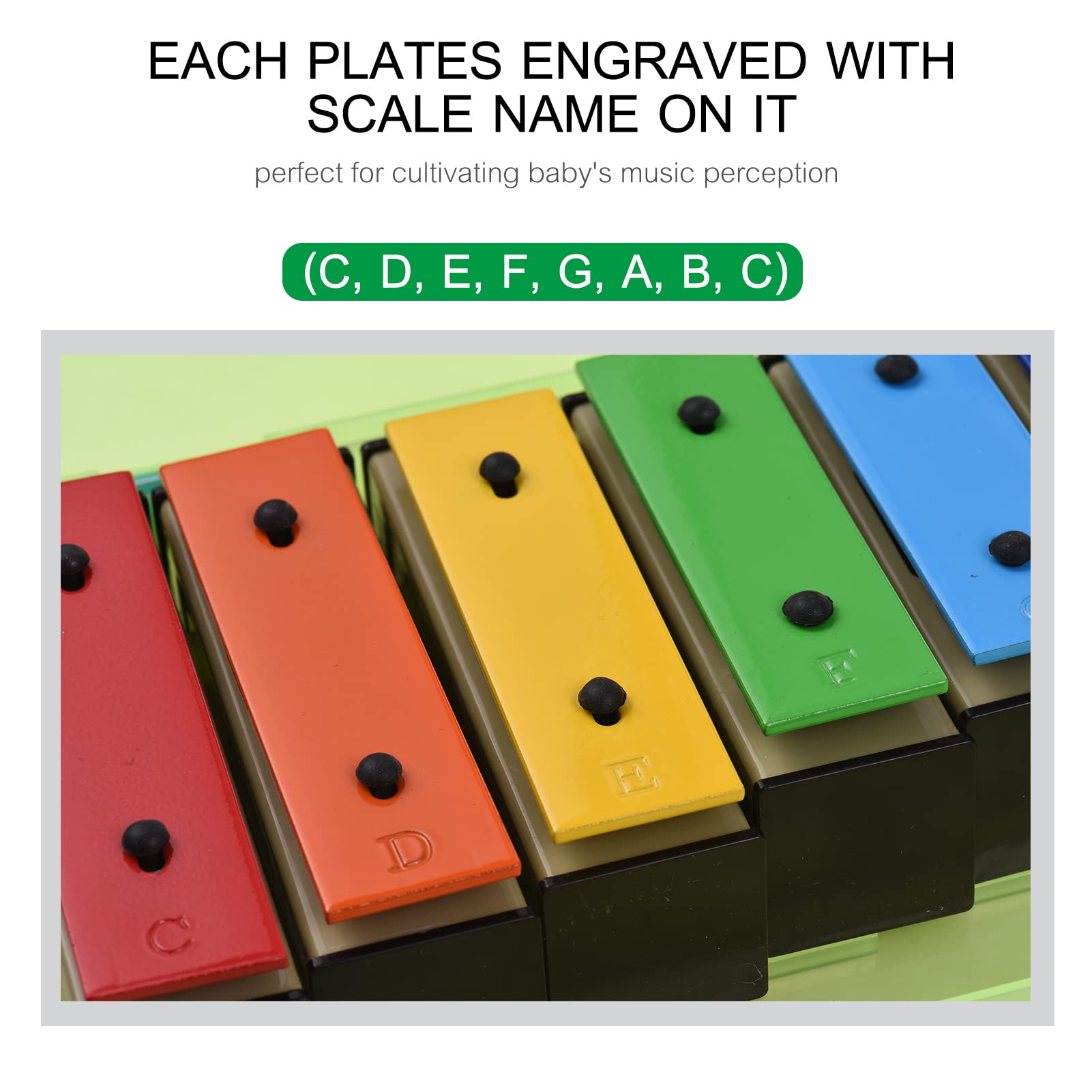 Xilofono colorato a 8 note Glockenspiel giocattolo musicale per bambini con piastre in acciaio metallico sicuro, base staccabile, custodia verde