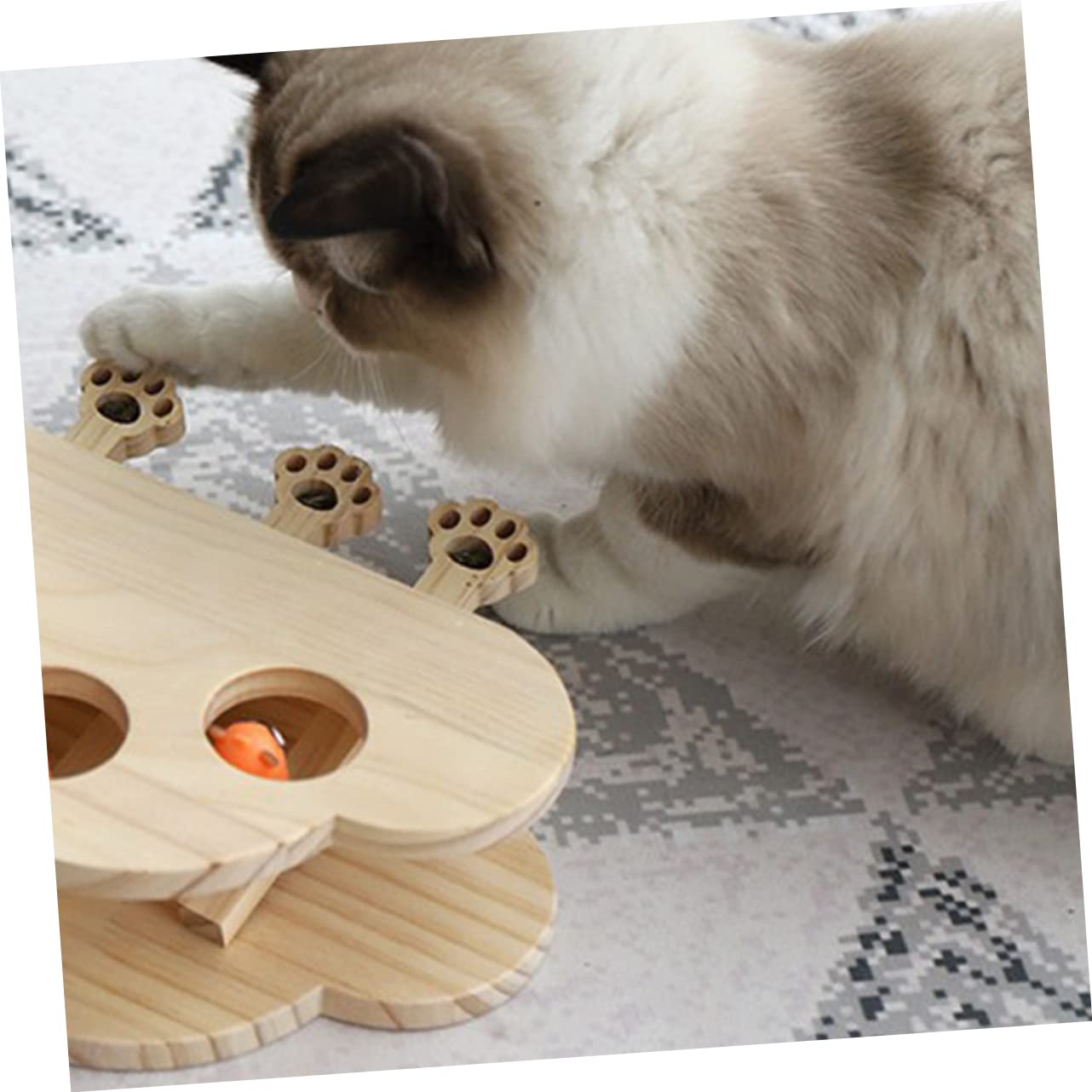 Toddmomy Interaktives Katzenspielzeug Aus Holz Für Wohnungskatzen Lustiges Katzenfängerspielzeug Kreativer Kätzchen Spielzeug Mit Aufbewahrung Für Katzenminze Langlebig Und Leicht