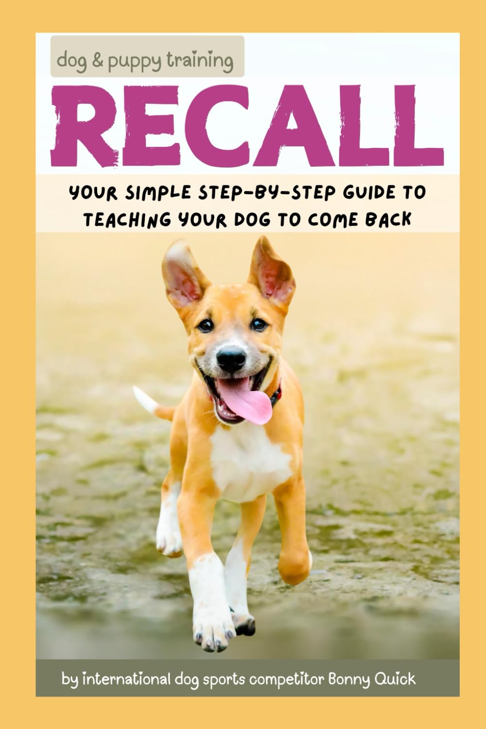 Recall: Your Simple Step by Step Guide to Teaching your Dog to Come Back