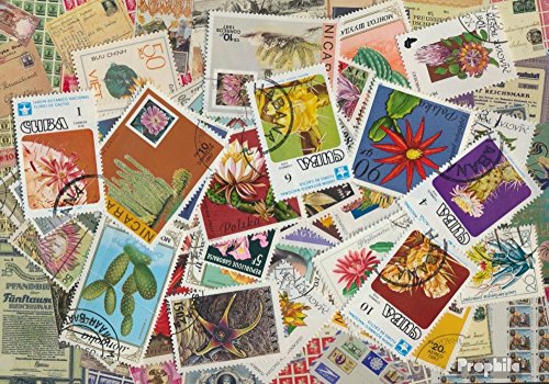 Motives 50 divers Cactus Timbres (Timbres pour Les collectionneurs) Plantes/Champignons