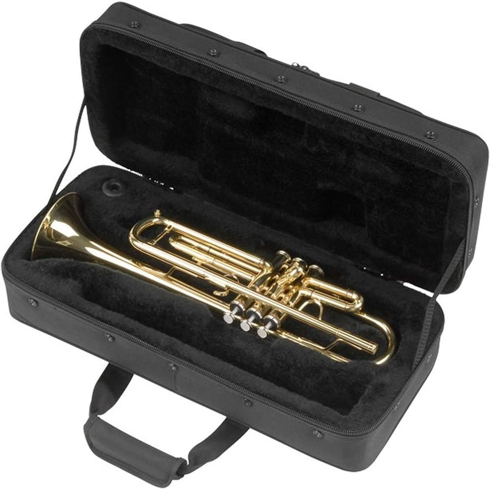 Amazon.com: SKB Soft Case - Trumpet Rectangular : Musical Instruments