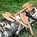 CG - Home & Games Wooden Axes for Kids – 3 Pack Handmade Play Axe Set - Outdoor Play Toys for Children 8 and Up – Durable Unpainted Natural Eco-Friendly Wood Toys. Bonus! Unique Bag