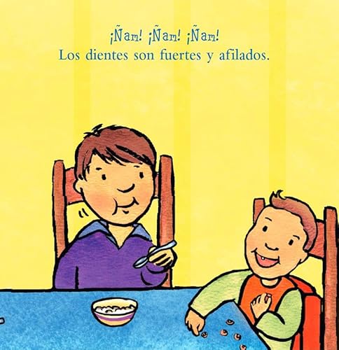 Teeth Are Not for Biting / Los Dientes No Son Para Morder Board Book