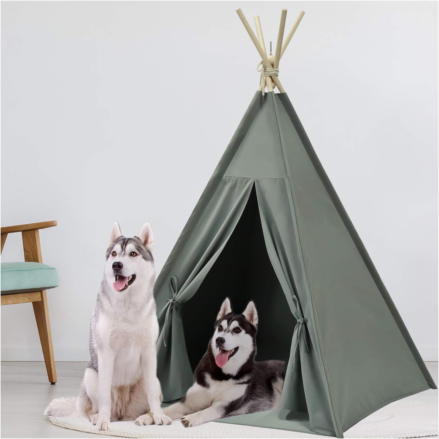 amazon pet teepee
