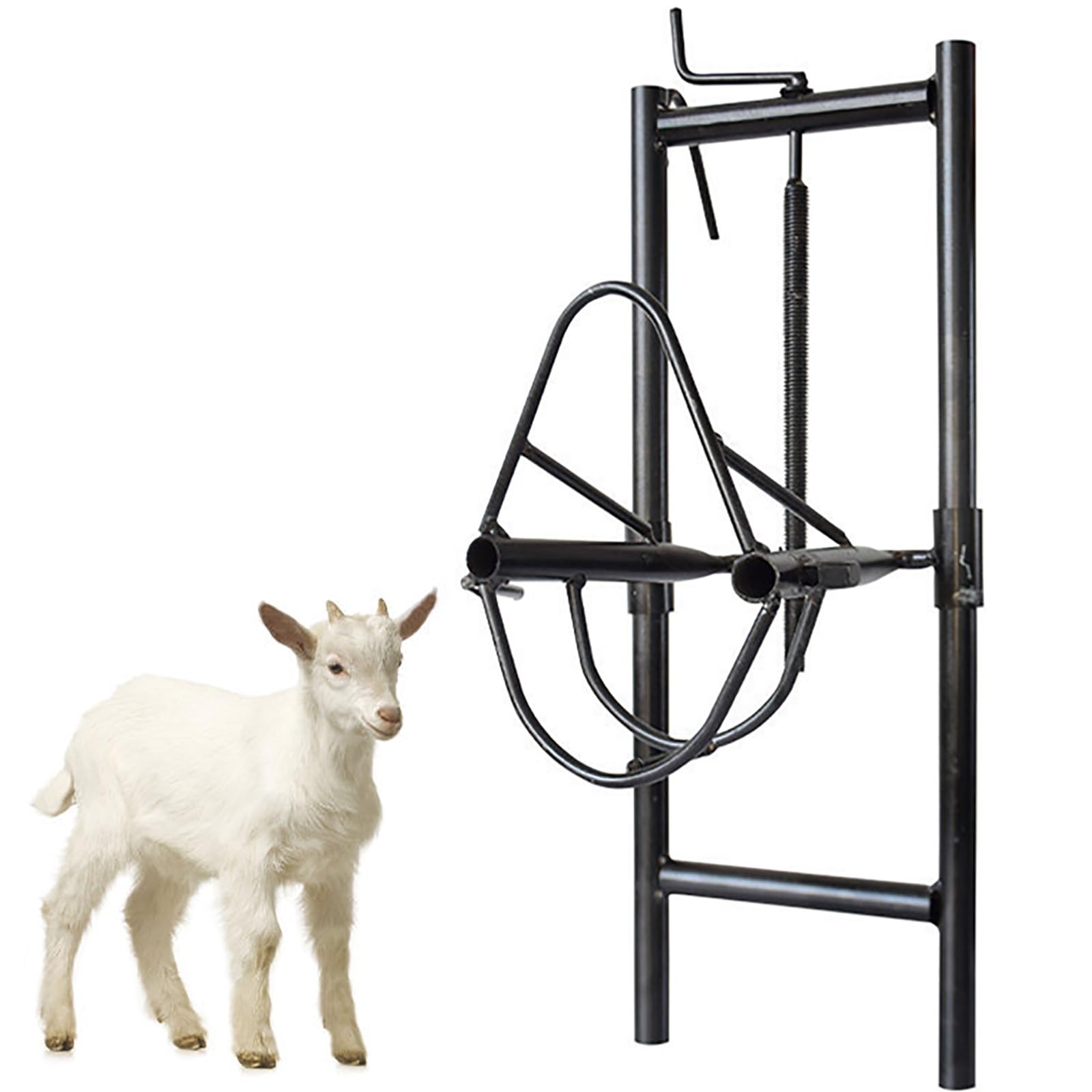 Supporto per tosatura delle pecore, supporto portatile regolabile per testa di pecora con cavezza, versatile supporto per mungitura di capre per uso domestico e agricolo