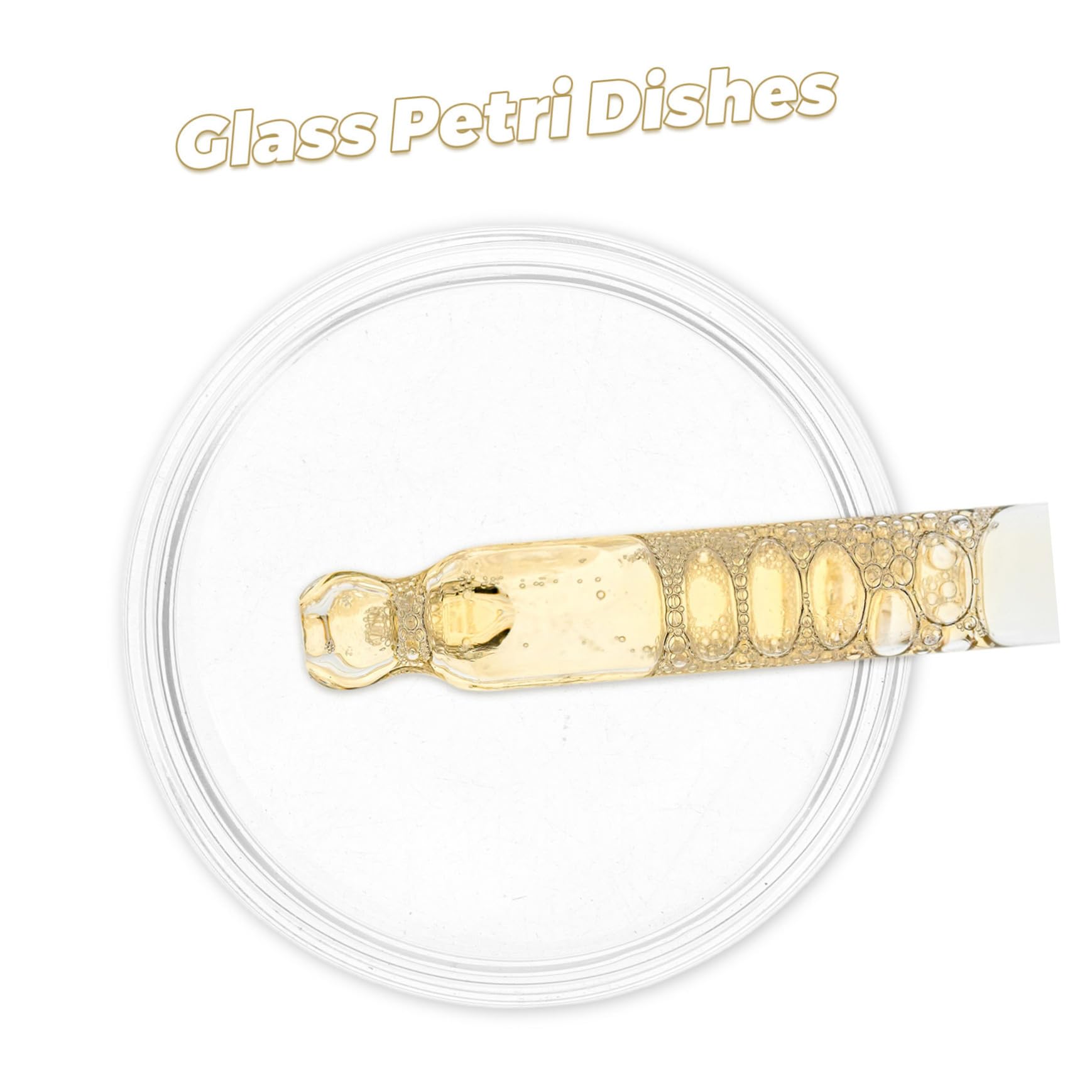 Gatuida 10piezas Placas De Petri De De Borosilicato Para Investigación Biomédica y Experimentos De