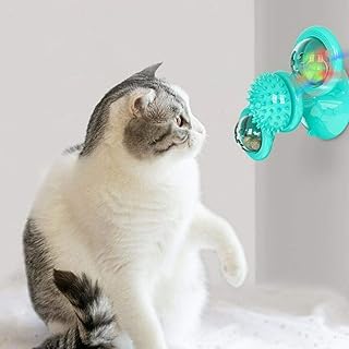 cat spin toy