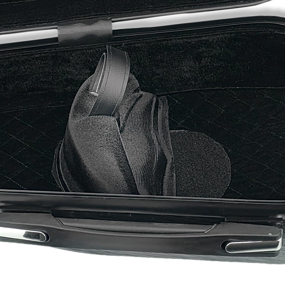 Viola Case - Mochila rígida de fibra de carbono de 16 pulgadas, almohadilla ajustable para el cuello para tamaños de 15 a 16.5 pulgadas, forro grueso, higrómetro integrado, con mango