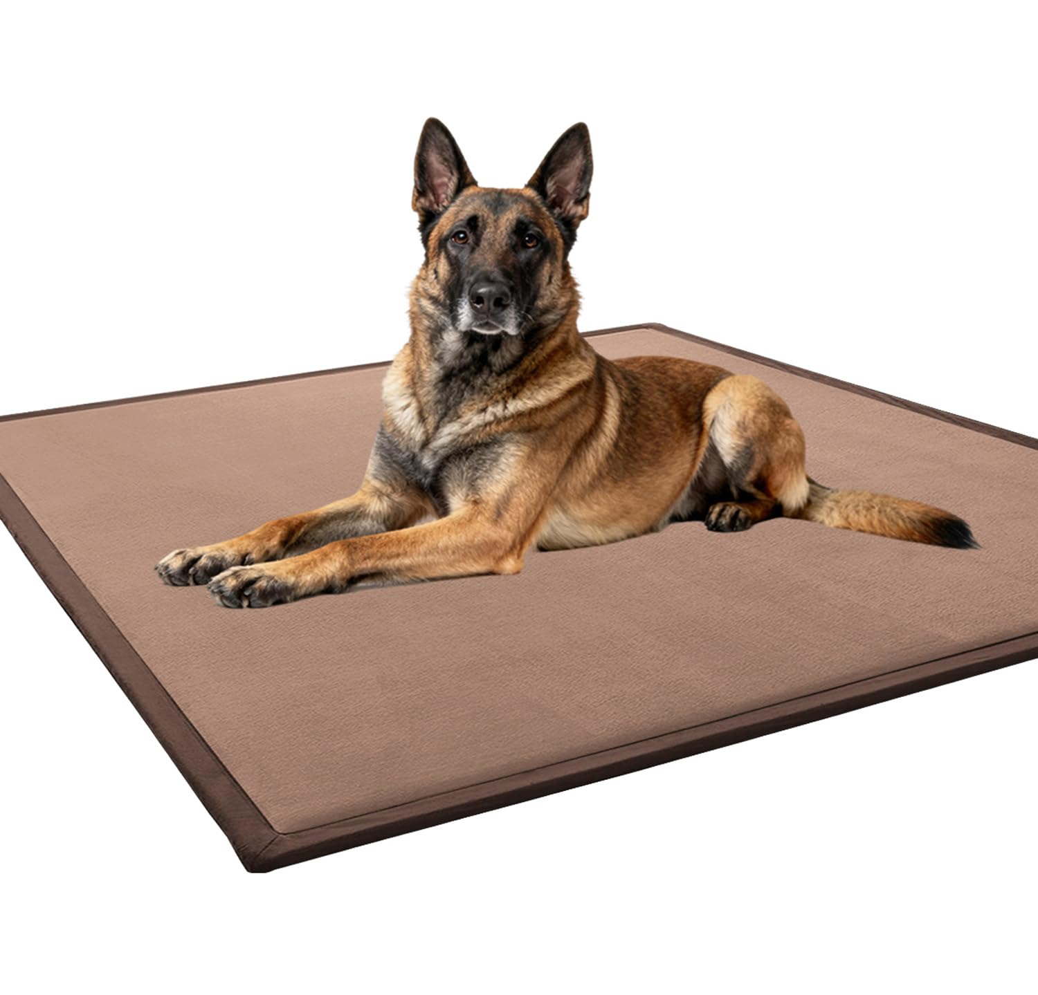 Tapis de couchage lavable fini les odeurs et tapis qui glissent