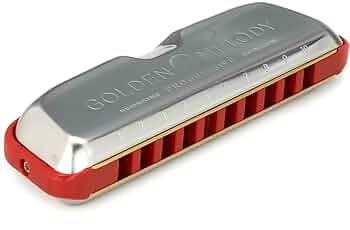 【未使用】Hohner Golden Melody ハーモニカ No. 543 Amazon.com: Hohner Golden Melody Progressive Harmonica, Key
