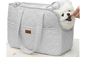 Cat Carrier Small Dog Handbag