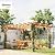 Outsunny 10' x 13' Outdoor Pergola, Wood Gazebo Grape Trellis with Stable Structure and Concrete Anchors for Climbing Plant Support, Garden, Patio, Backyard, Deck, Dark Brown