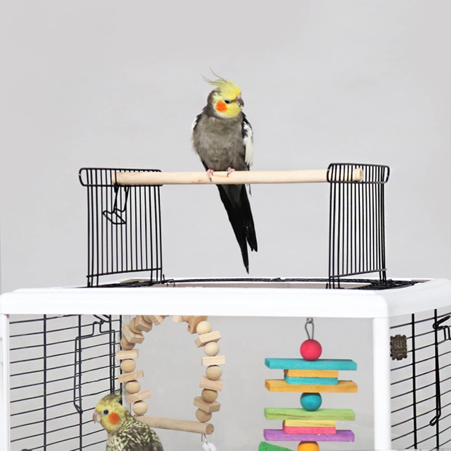 Jaula para Pájaros,Jaula Pájaros,Jaula de pájaros, Jaula for pájaros de Metal Resistente a la oxidación con Escalera en el Techo y Bandeja Inferior for cacatúas, periquitos, agapornis