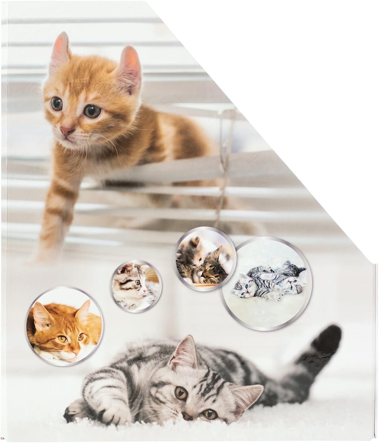 HERMA 19717 Magazine File A4 with Cats Motif, 7.5 cm Wide, Foldable, Sturdy Cardboard, Slim Magazine Holder for Girls and Boys, Standing File for Storing Documents, Documents, Folders image 4