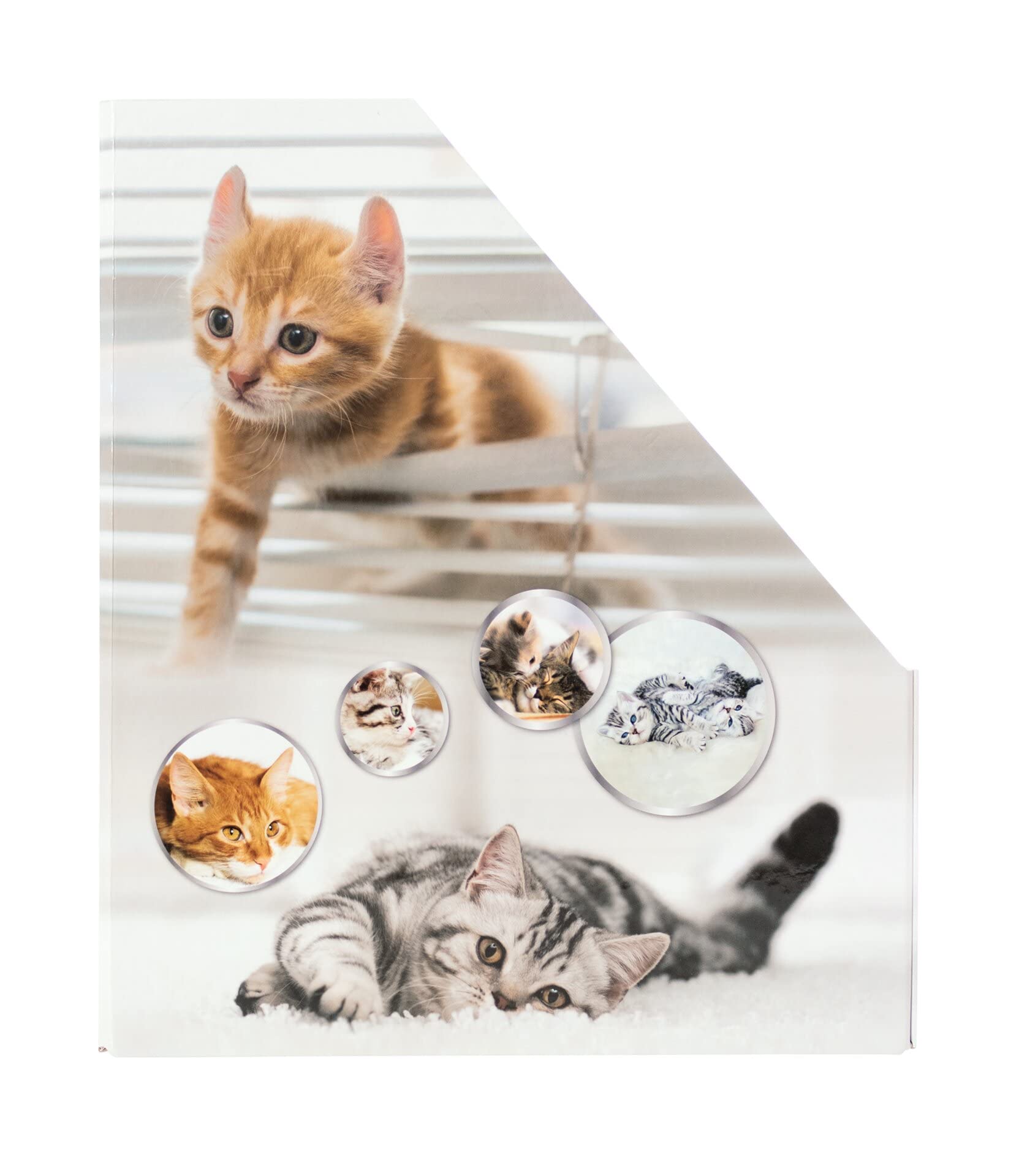 HERMA 19717 Magazine File A4 with Cat Motif, 7.5 cm Wide, Foldable, Sturdy Cardboard - Image 4