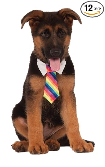 Rubie's Costume Company Rainbow Tie for Pet