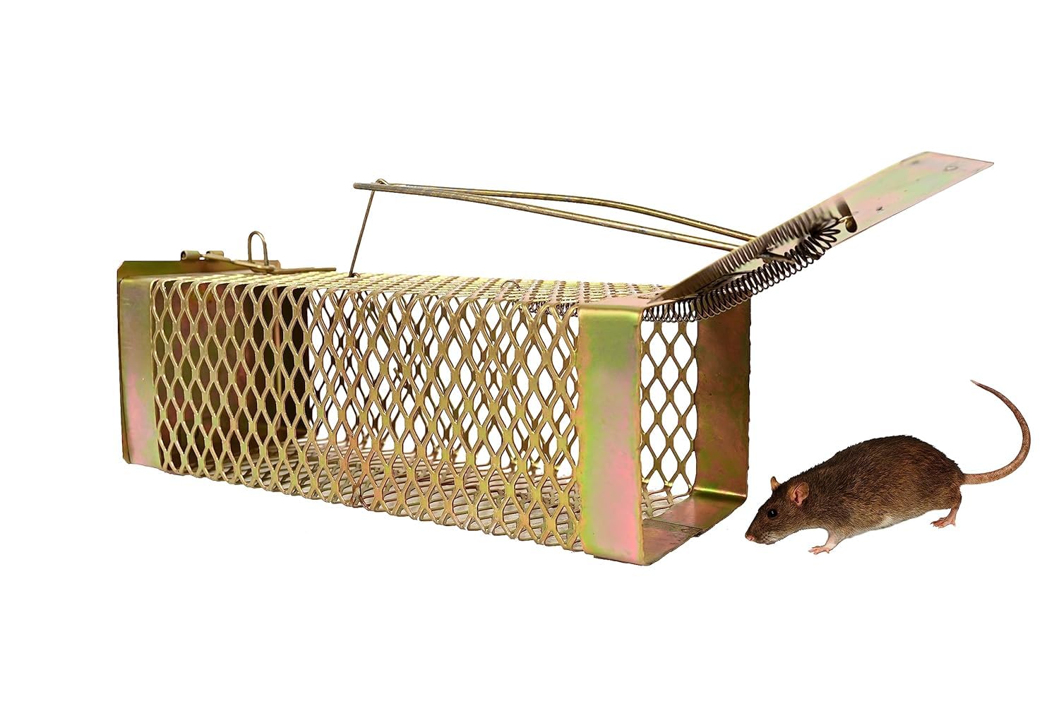 MN Collection Rat Trap Cage (22 X 9 X 9 cm) Iron Gold Color Cross Design Heavy Quality (B0CN4GXWQ3) Amazon Price History, Amazon Price Tracker