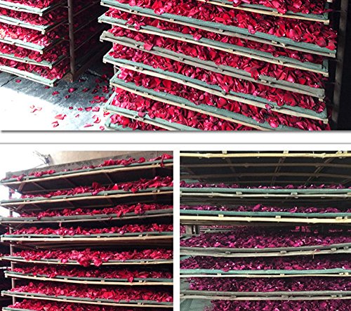 Tooget Dried Natural Real Red Rose Petals Organic Dried Flowers Wholesale Best For Wedding Party Decoration, Bath, Body Wash, Foot Wash, Tea, Baking, Potpourri, Crafting - 2 Oz #TOP4