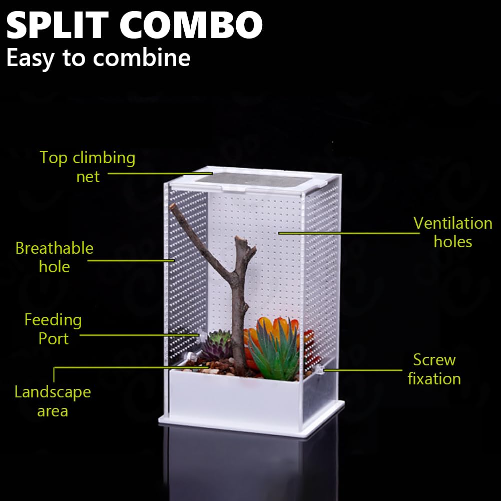 Akrylowe terrarium dla gadów, zbiornik dla gadów do wzrostu, mini terrarium do wzrostu gadów, siedlisko dla gadów dla zwierząt domowych, pudełko do żerowania dla gadów i płazów,S