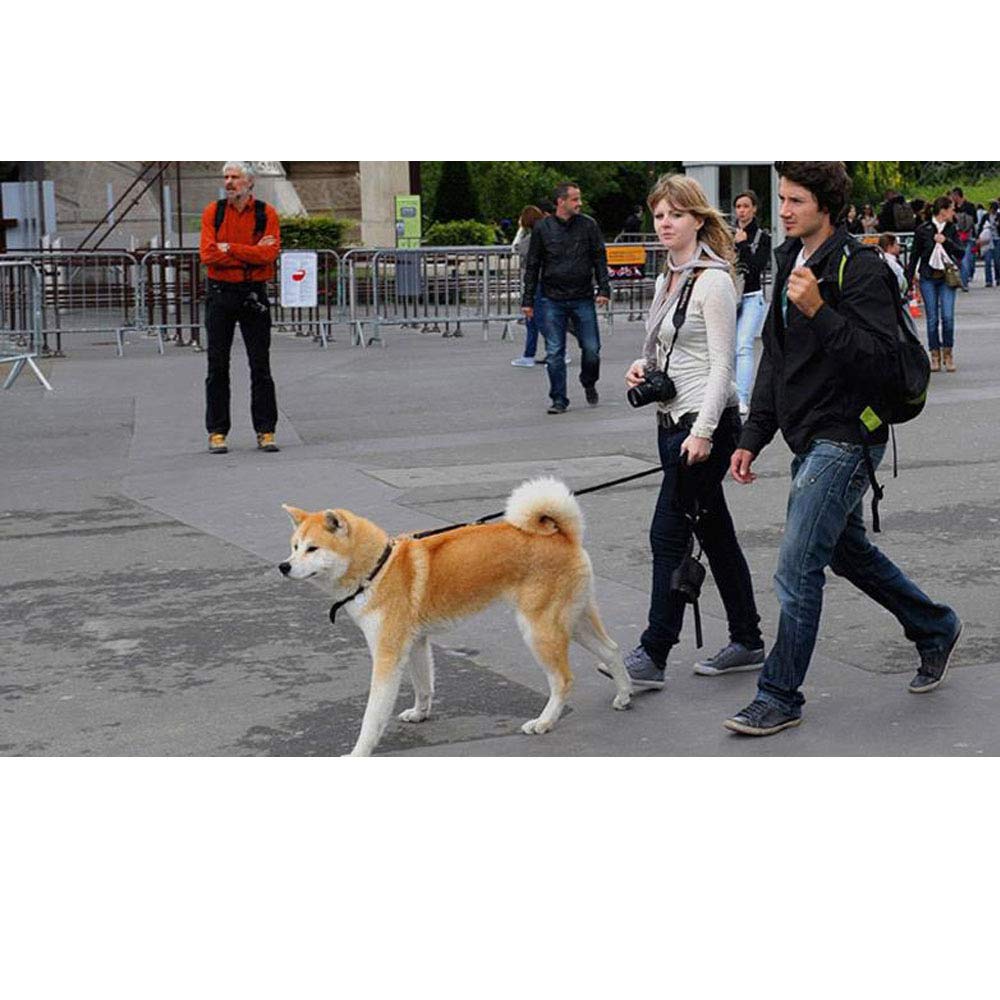 REYG Laisse De Dressage pour Chiens Laisse De Dressage pour Chiens à Double Extrémité pour Collier De Tête Et Harnais sans Tirette Laisse De Dressage Noire pour Petits Chiens Et Chiens,Black
