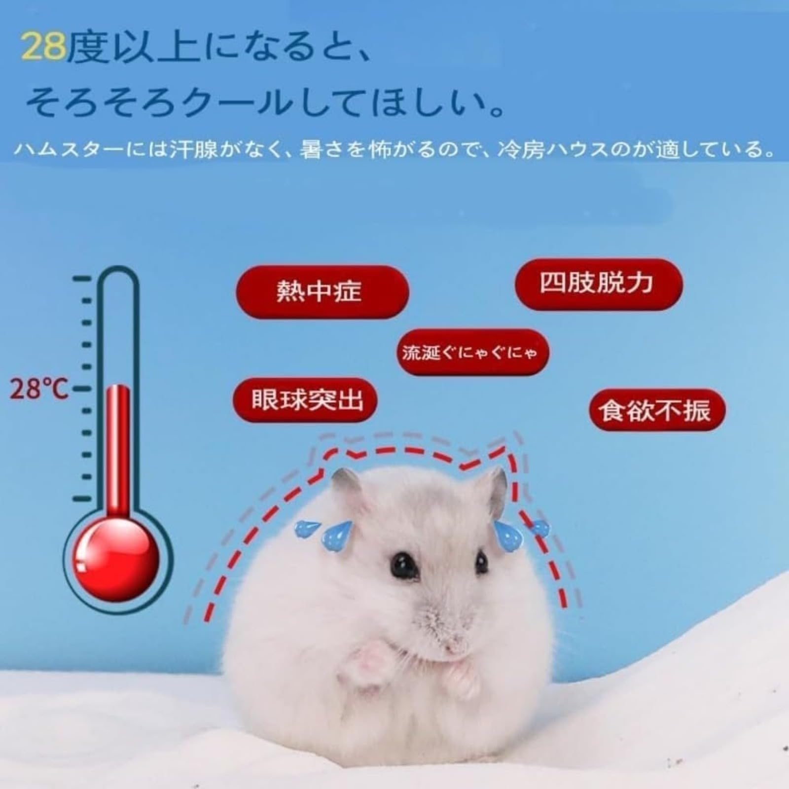 Amazon.co.jp: ハムスター冷却ハウス ハムスター クーラー ハムスター