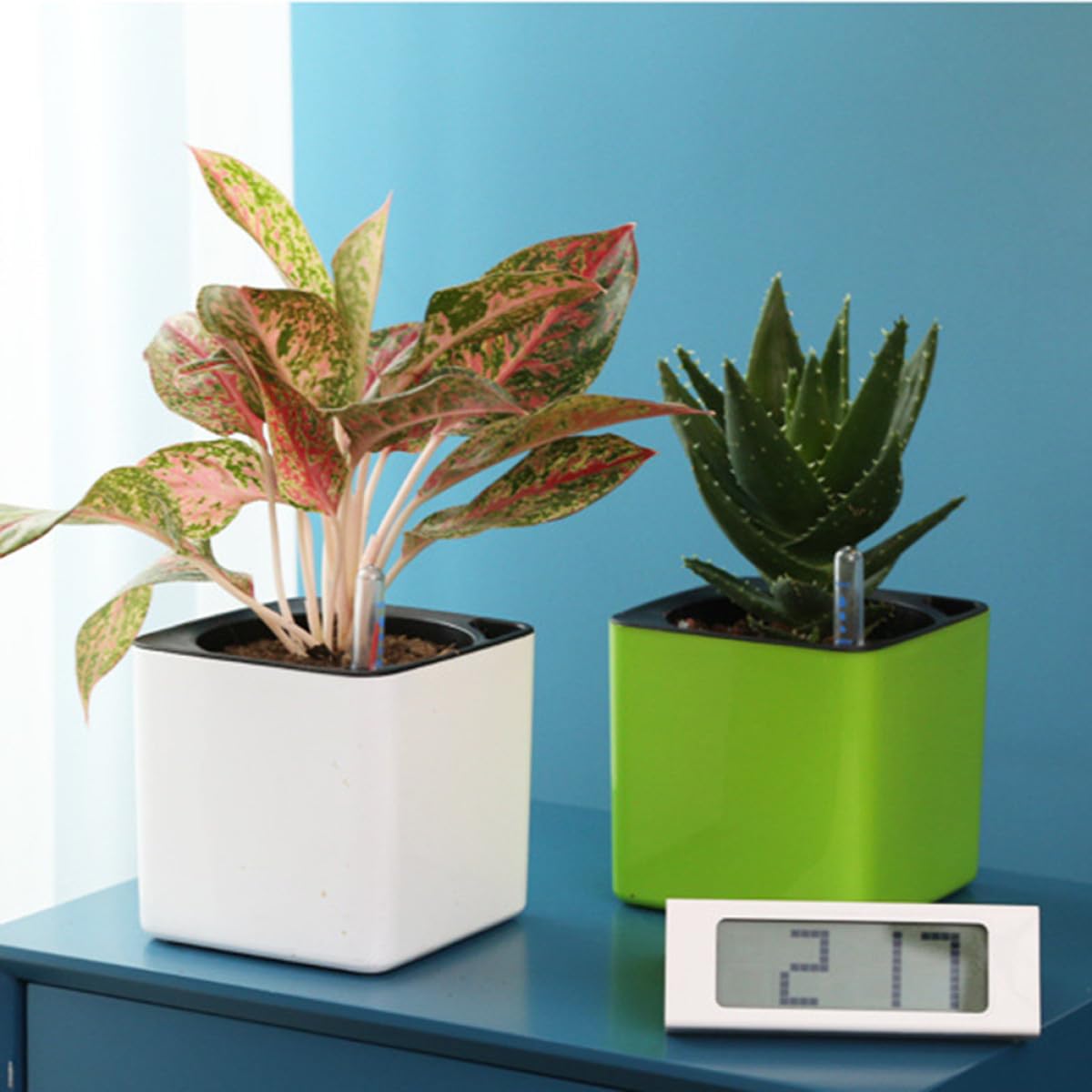 Housoutil Vaso da Fiori Autoirrigante Quadrato in Plastica Bianco 12 CM Set 4 Pezzi con Doppio Contenitore Staccabile Nilometro Galleggiante e Corda di Cotone per Riserva D’Acqua Porta