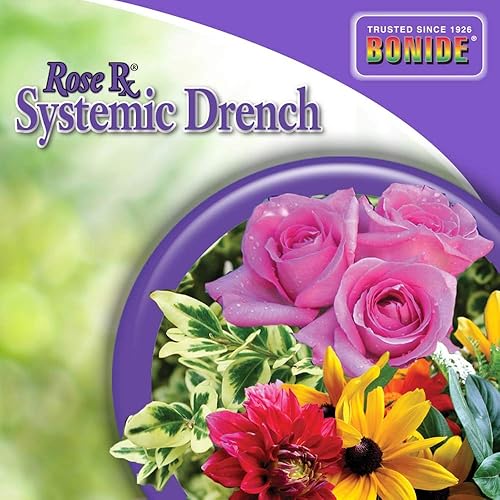 Miniatura 4 de Bonide Rose Rx Drench, concentrado de 32 onzas, prevención de insectos y enfermedades de jardín para rosas, flores y adornos