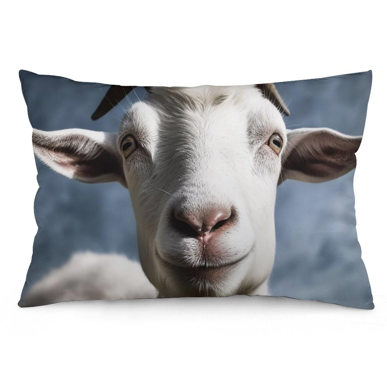 Velvet Pillowcases Standard Size 12 "x20, Ultra Soft Breathable Pillow Cases for Bed, Luxury Cozy Fuzzy Pillow Shams, Lumbar Pillow Cover, Goat Cushion Case Home Decor