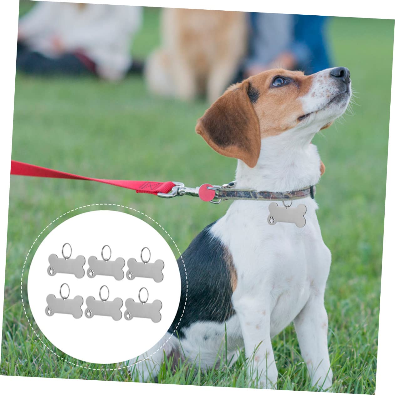 Kisangel 30pièces Médailles Identification pour Chiens Pendentifs Gravés Inoxydable pour Collier De Chiot Et Id Animaux