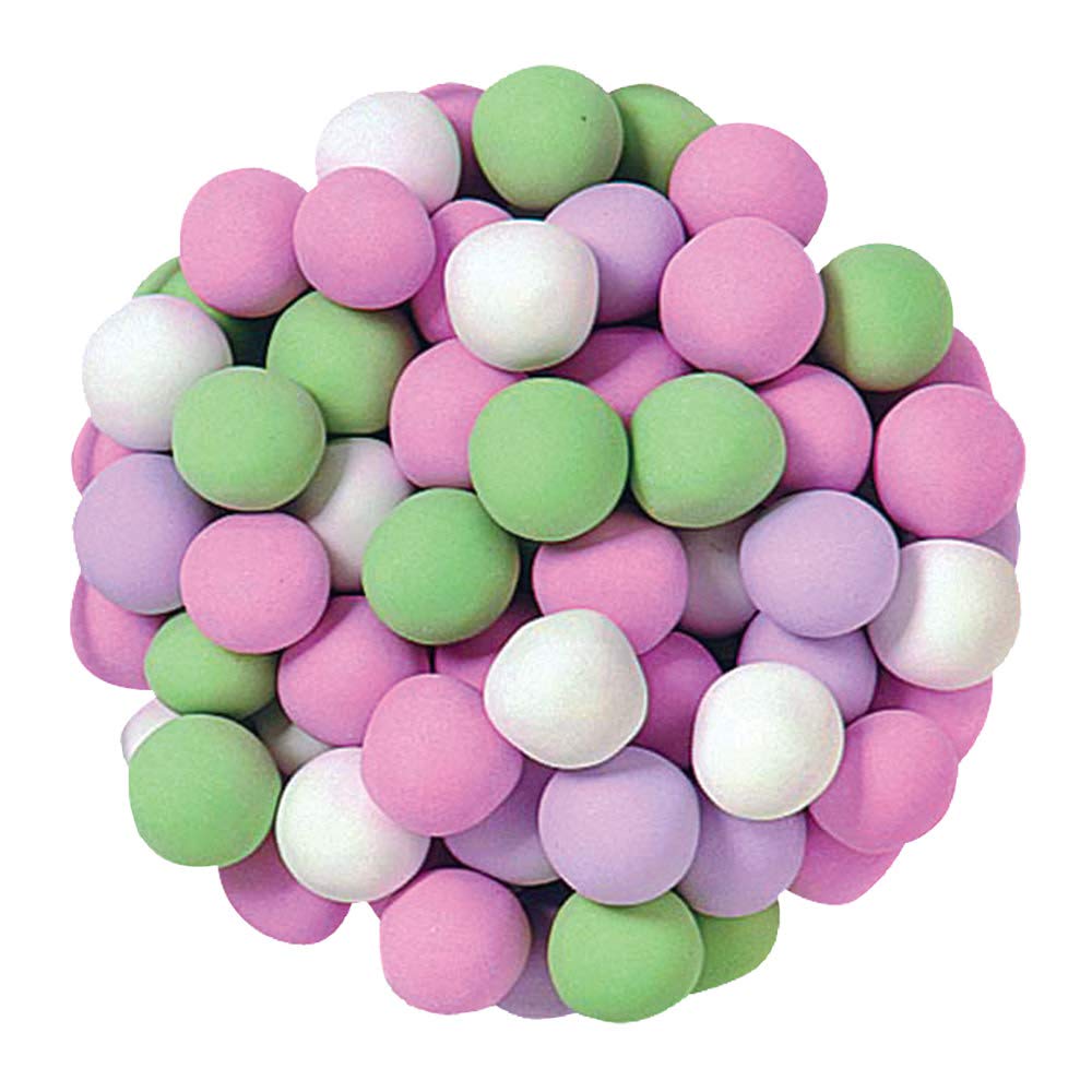 Dutch mints candy coasted delicious smooth mint lb / 16 oz Candy Snack Resealable bag