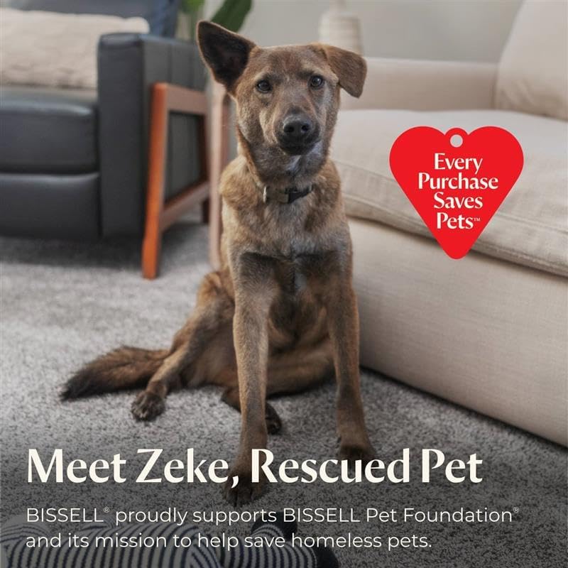 BISSELL Little Green Pet Pro Portable Carpet and Upholstery Deep Cleaner, Car/Auto Detailer with Self-Cleaning Tough Stain, Pet Hair Removal, Crevice Tool (3909) Little Green Pro