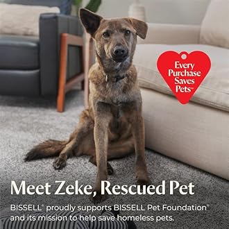 BISSELL Little Green HydroSteam Multi-Purpose Portable Carpet and Upholstery Cleaner, Car and Auto Detailer, 3618