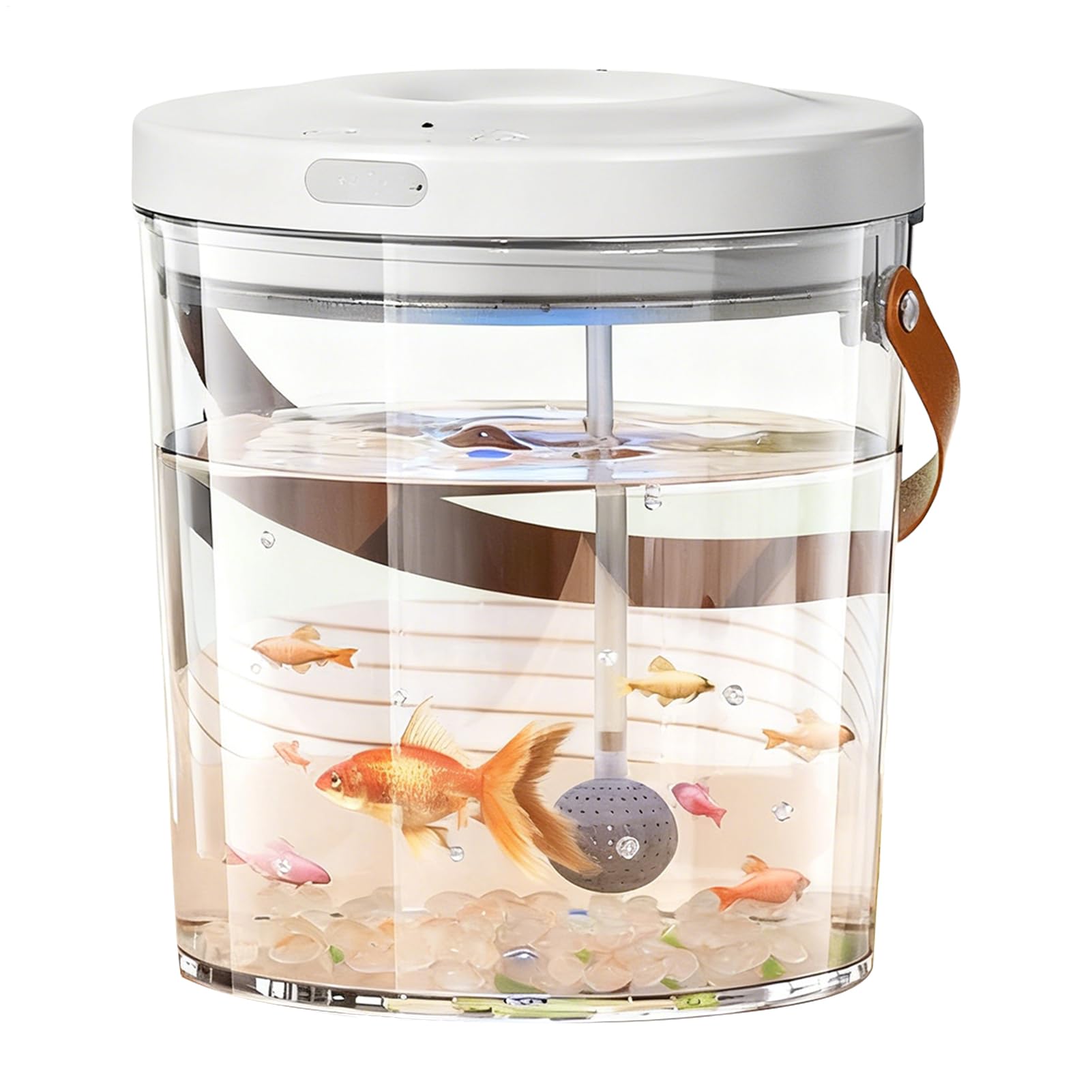 Mini aquarium portable transparent avec lumière LED et circulation d'eau silencieuse