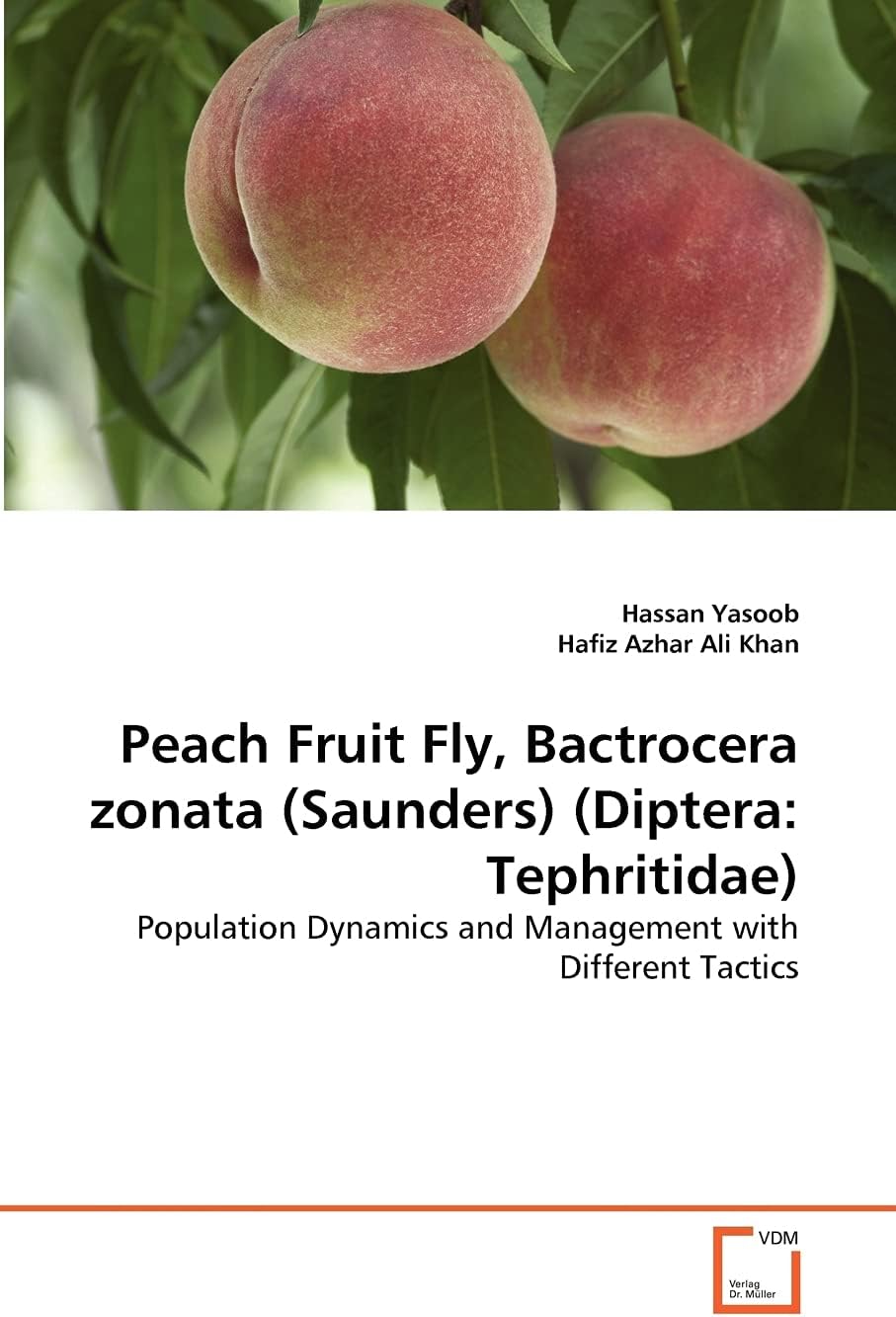 Peach Fruit Fly, Bactrocera zonata (Saunders) (Diptera: Tephritidae)