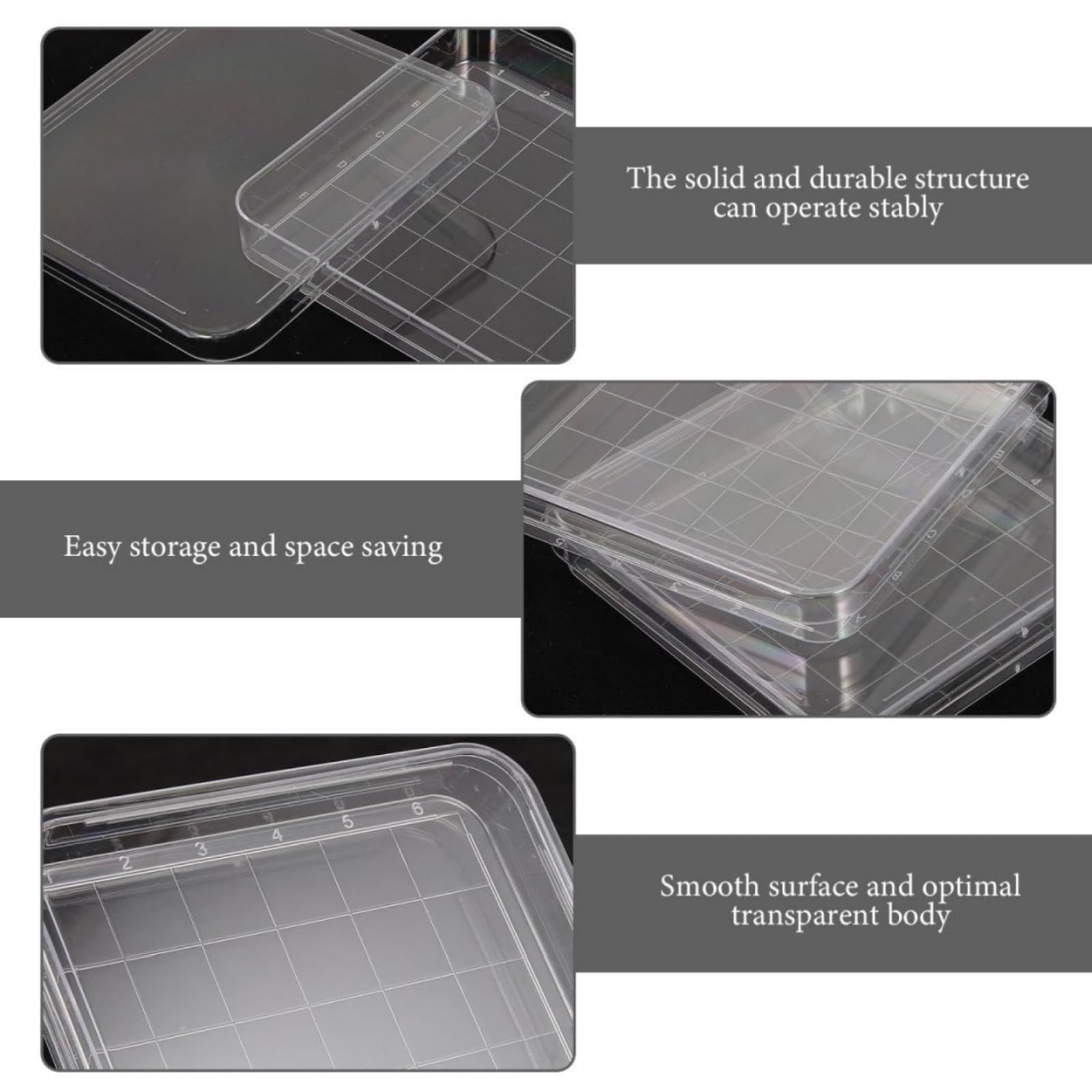 Boîtes de Petri carrées 10x10 cm en plastique avec couvercle transparent et grille - lot de 20 - pour laboratoire, microbiologie, mycologie, culture cellulaire, projets scolaires et recherches